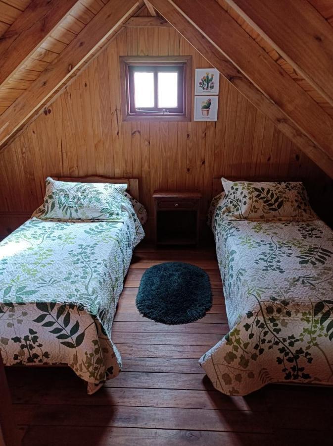 Cabana Aiken إيسكيل المظهر الخارجي الصورة